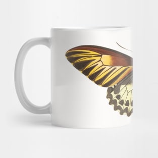 Brown butterfly Mug